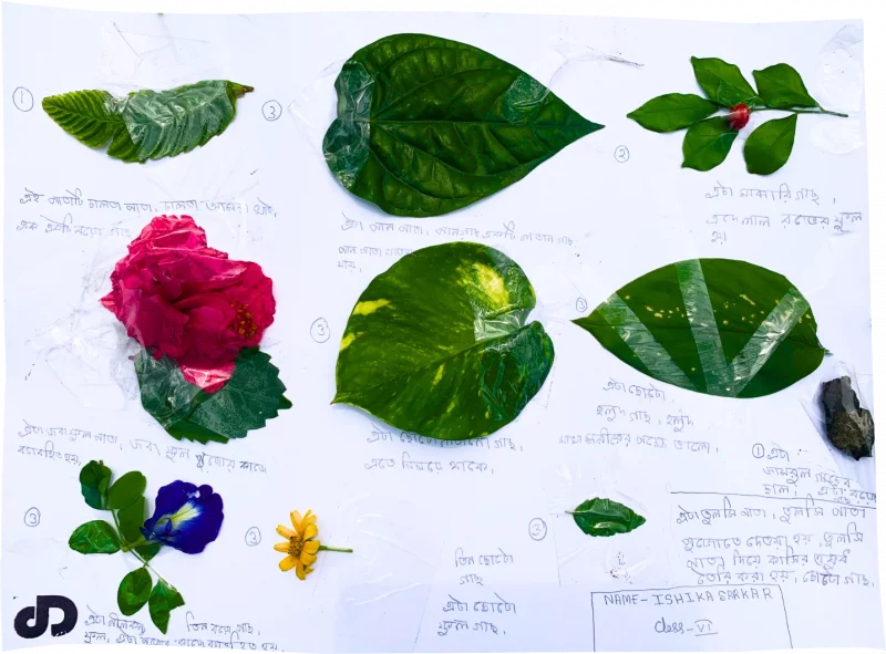 Nature-research-sheet-2