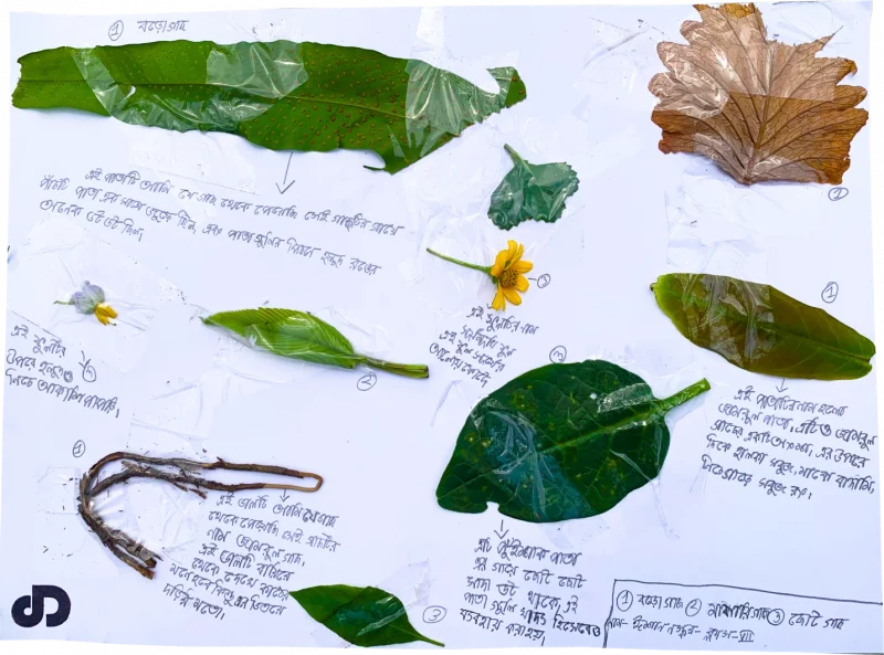 Nature-research-sheet