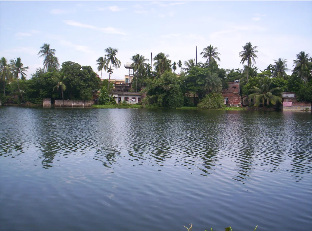 The Ponds of Kolkata bangla