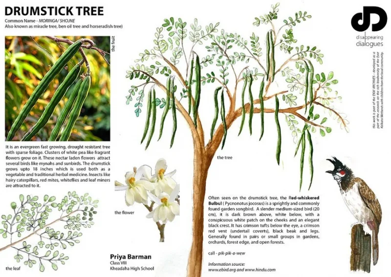 Research-Sheet-by-Priya-Barman-2